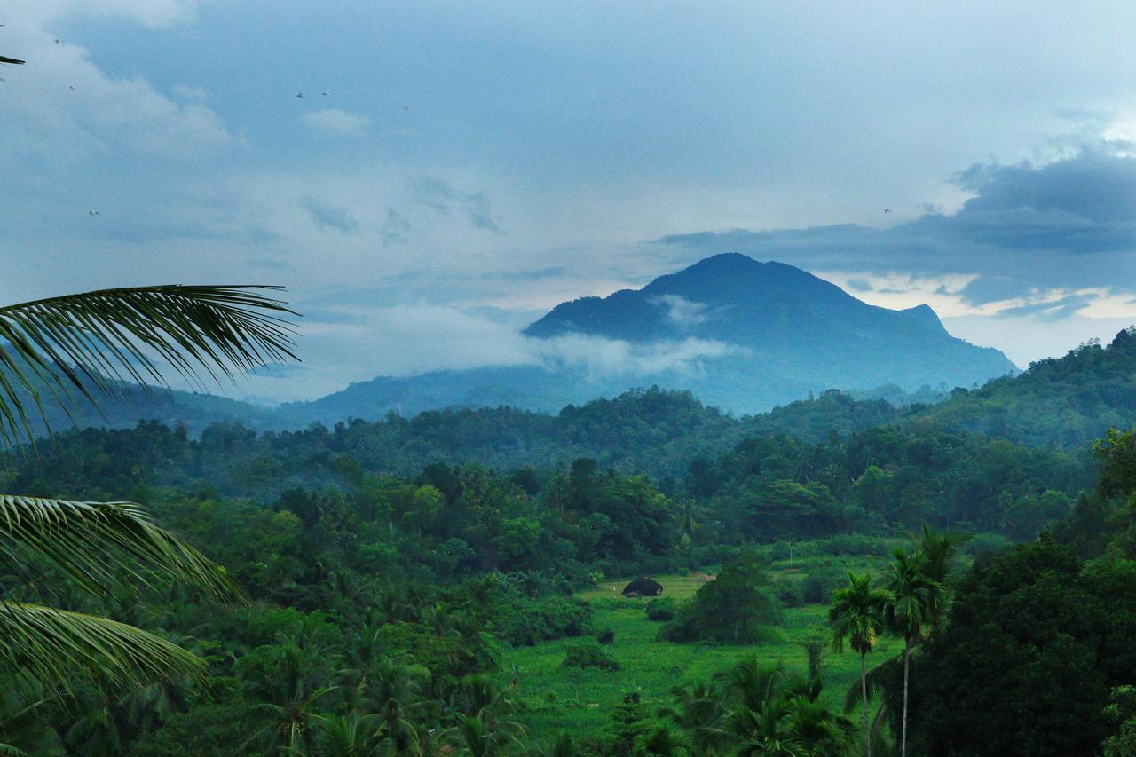 Peak View Holiday Resort Ratnapura Kültér fotó